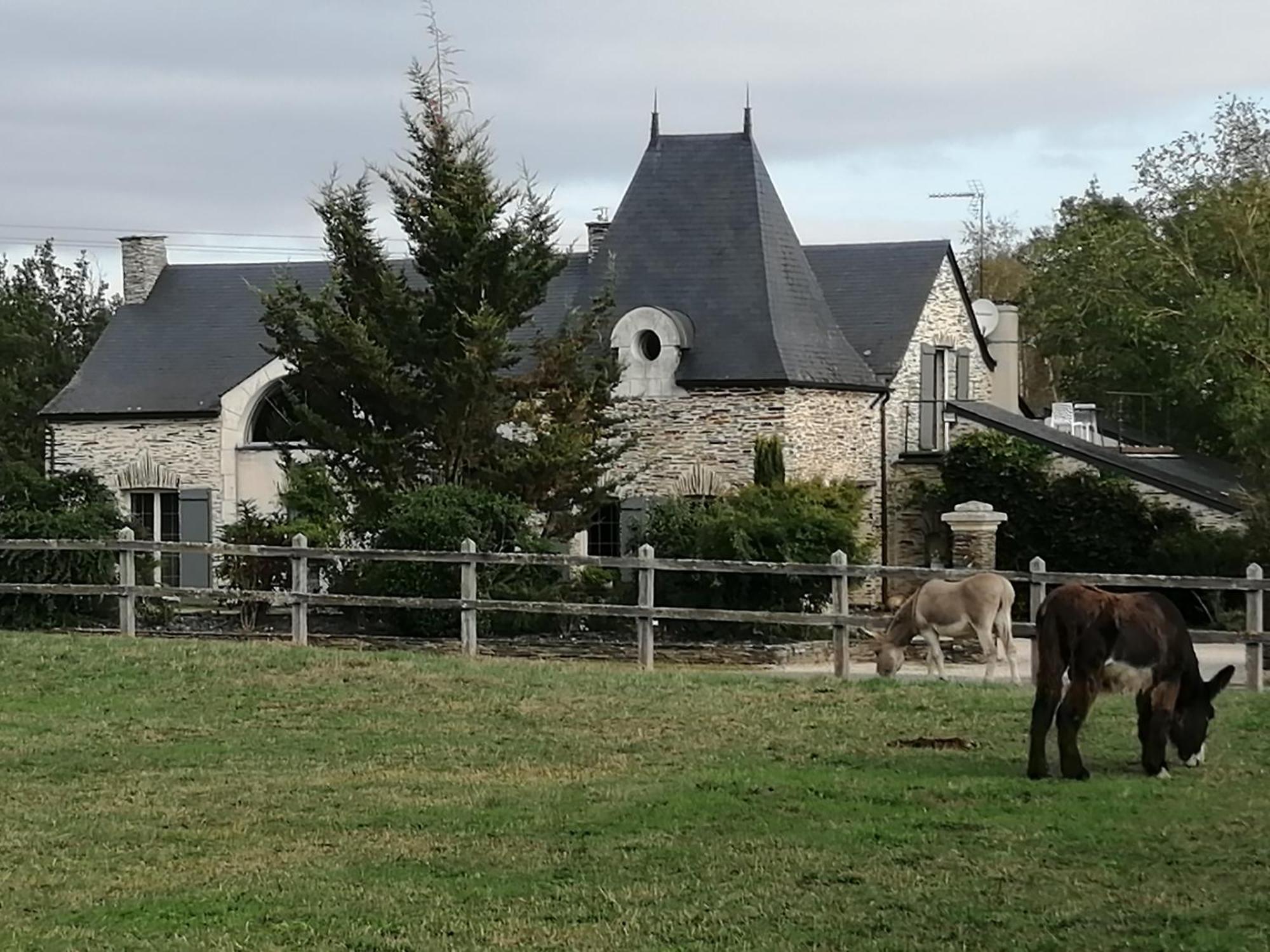 Gite Belle Fontaine Hotell Angrie Exteriör bild